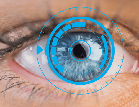 retina